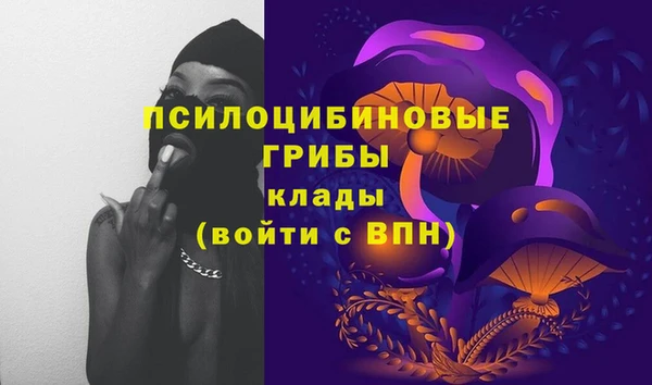 мдма Богородицк