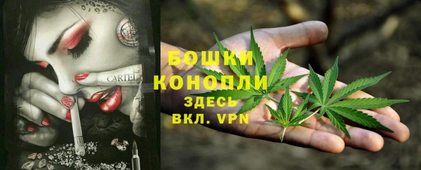 ешки Богородск