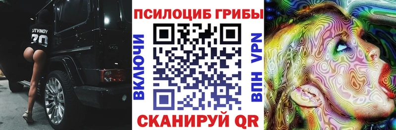 mega ссылки  купить наркоту  Кинешма  Псилоцибиновые грибы мухоморы 