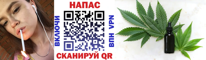 купить закладку  Кинешма  Шишки марихуана план 